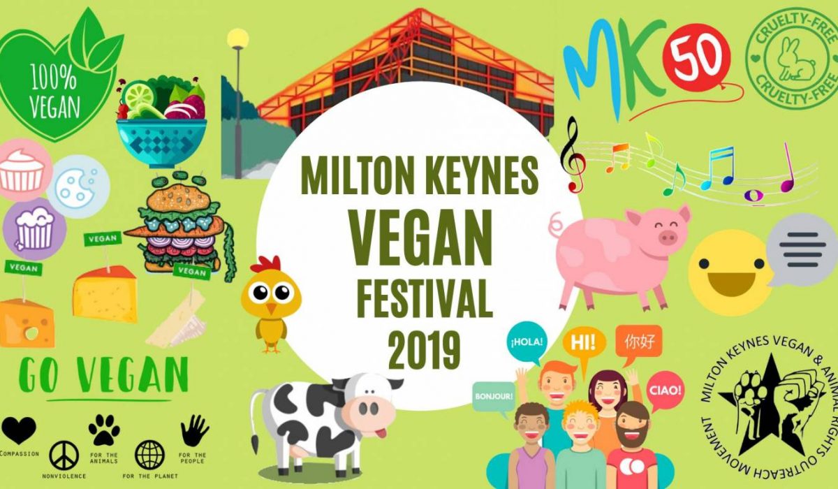 You are currently viewing Mindful Activism at MK Vegan Festival 2019