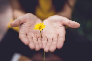 mindfulness practicing generosity